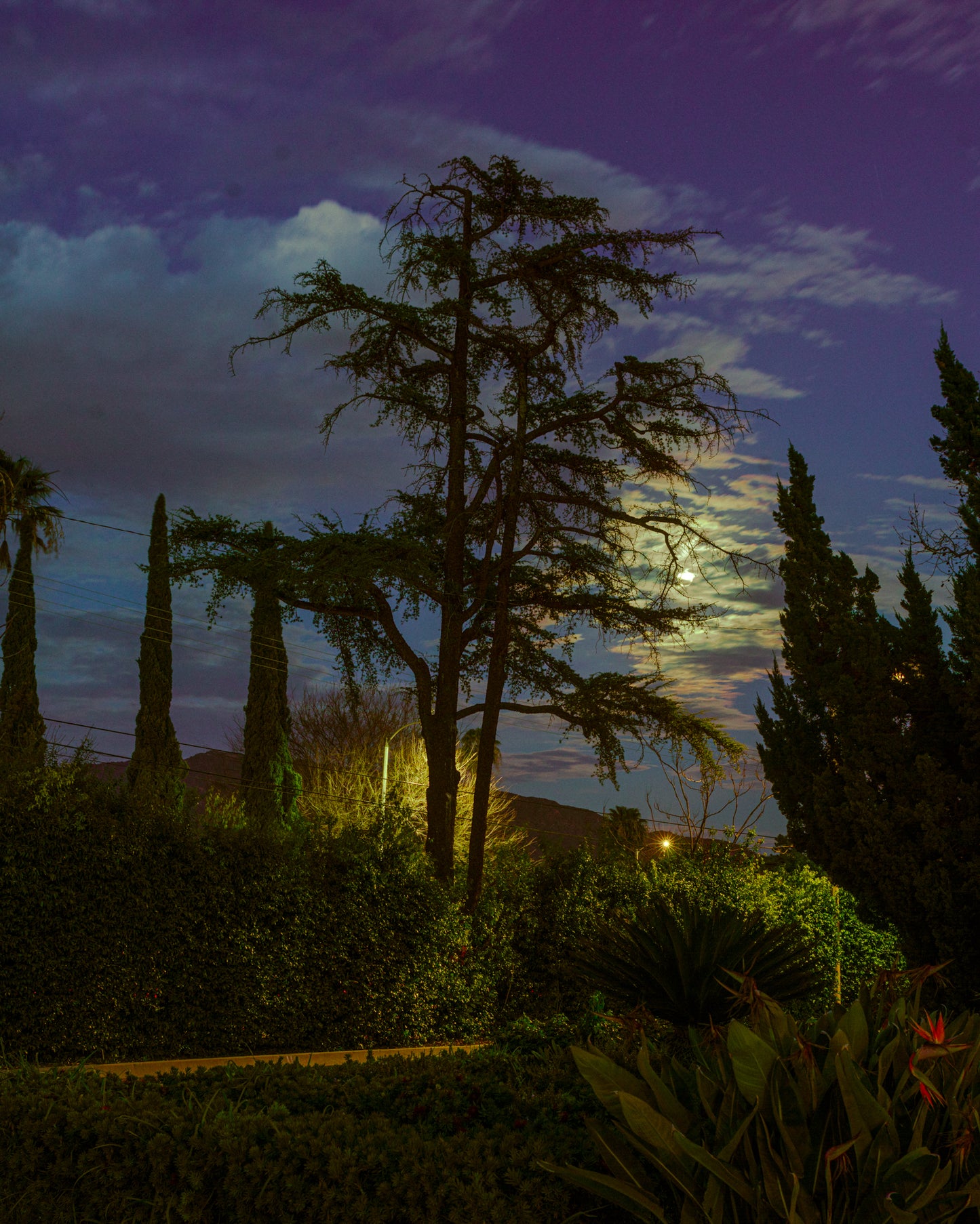 If You Think That You Know Yourself You Can Come Over