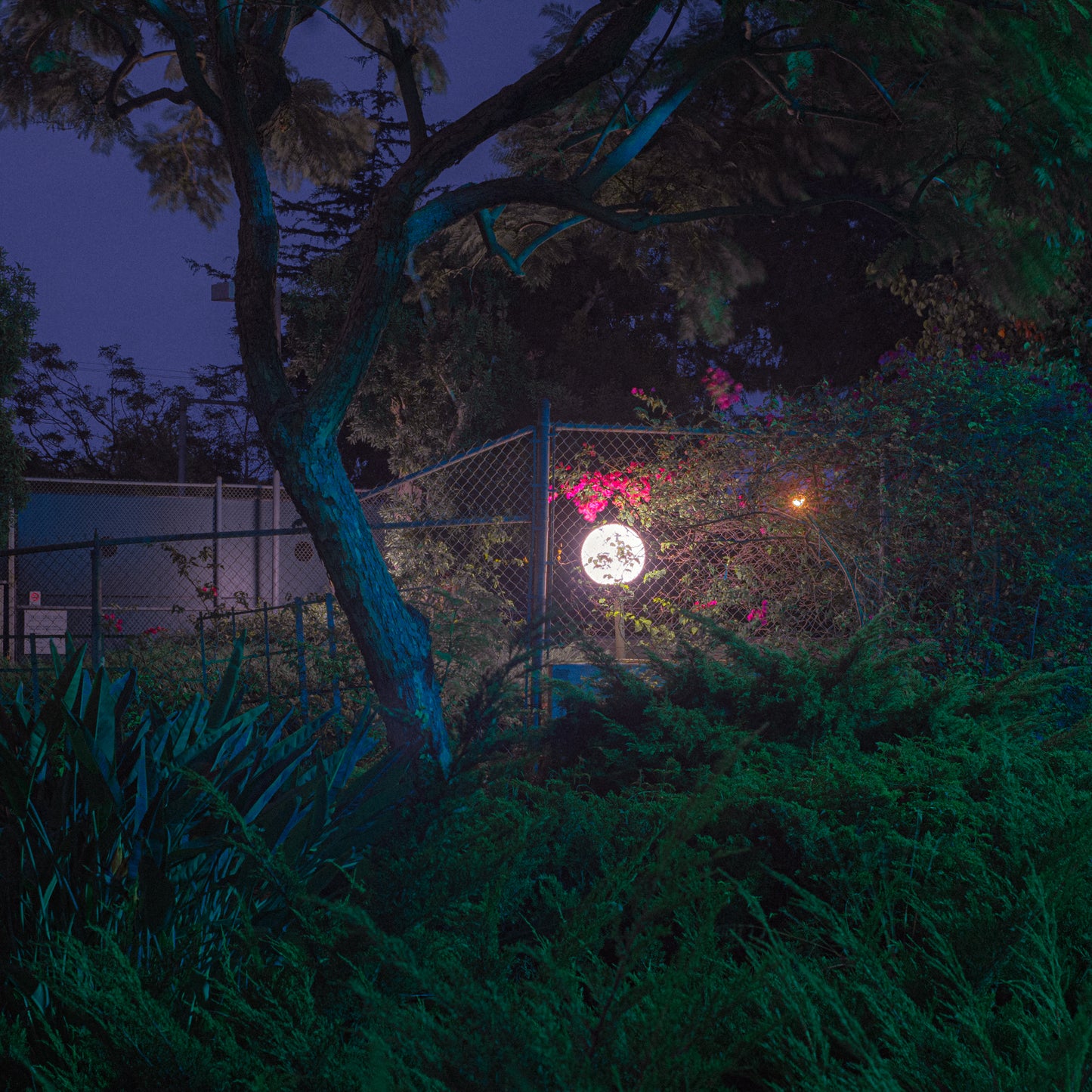 Keep A Light On For Me