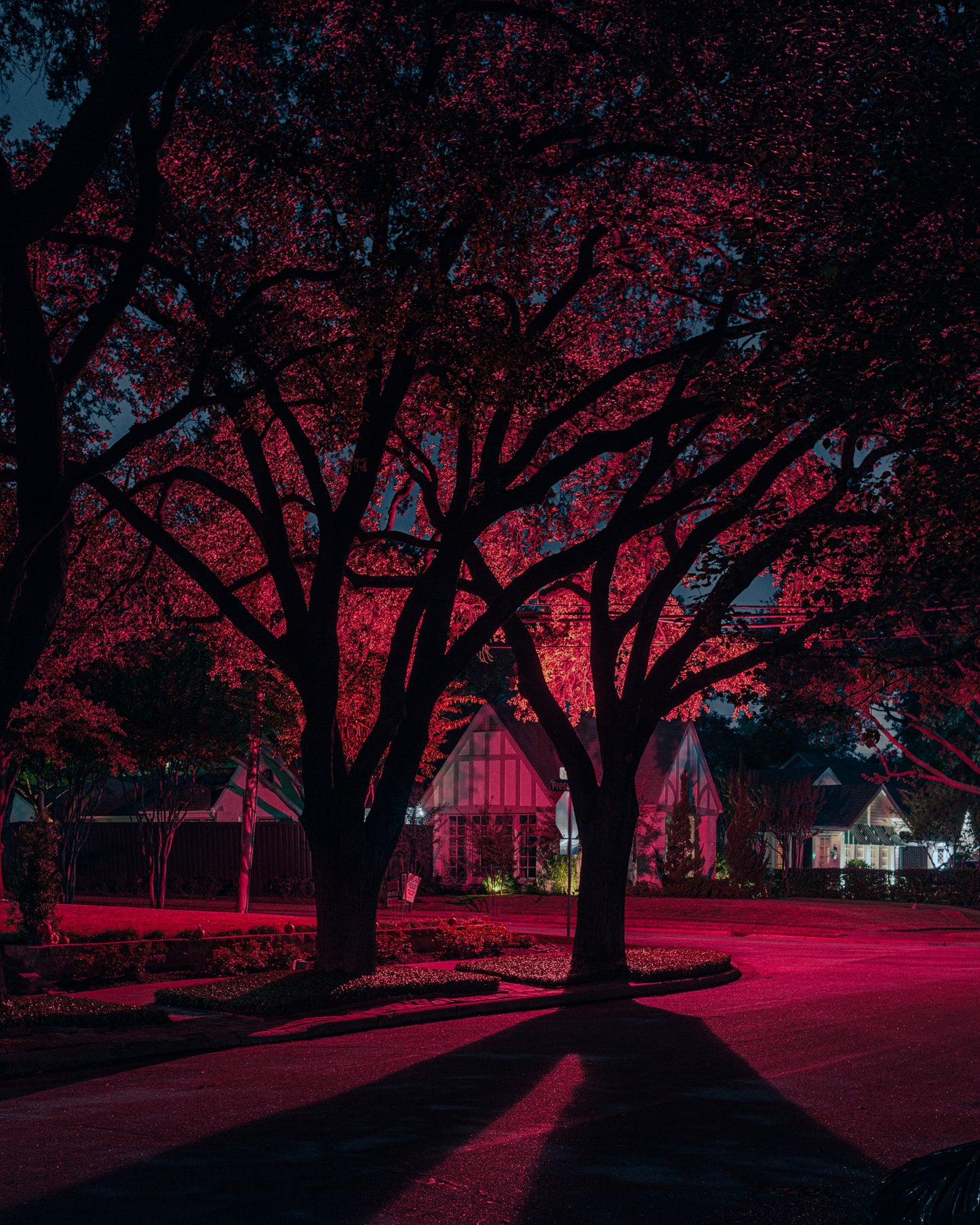 In My Lonely Hour III